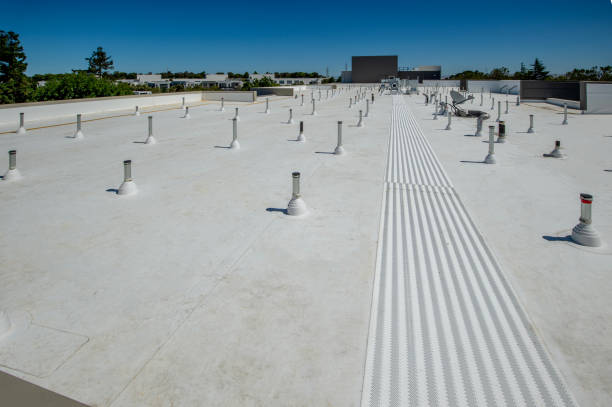 Best Roof Insulation Installation  in Lambertville, NJ